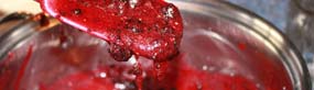 Fruit Puree